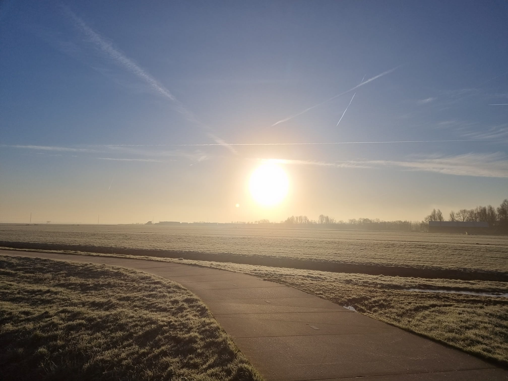 Een nieuwe lente (1)